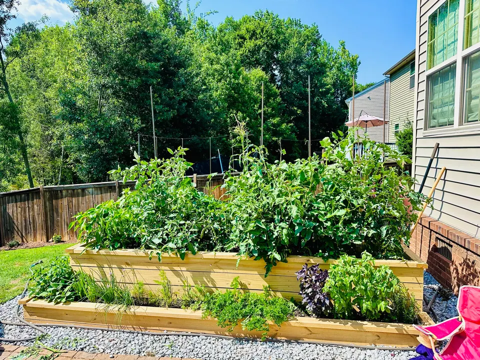Raised garden beds, Simpsonville: after