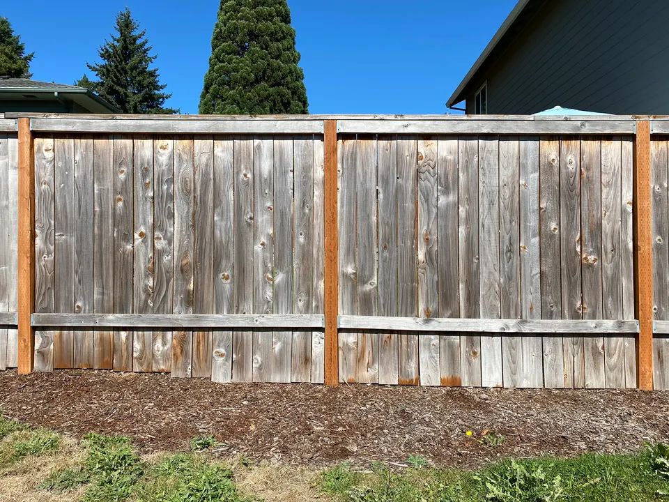 Fence restoration: before
