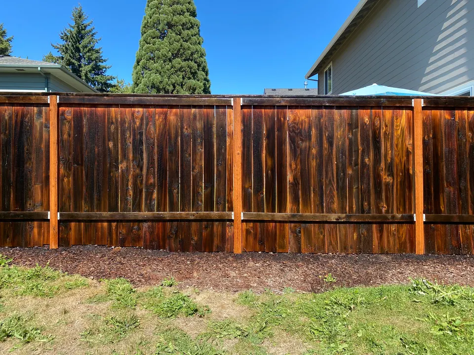 Fence restoration: before