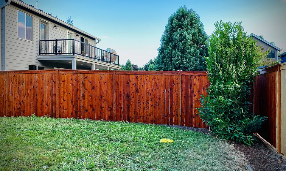 Fence restoration: after