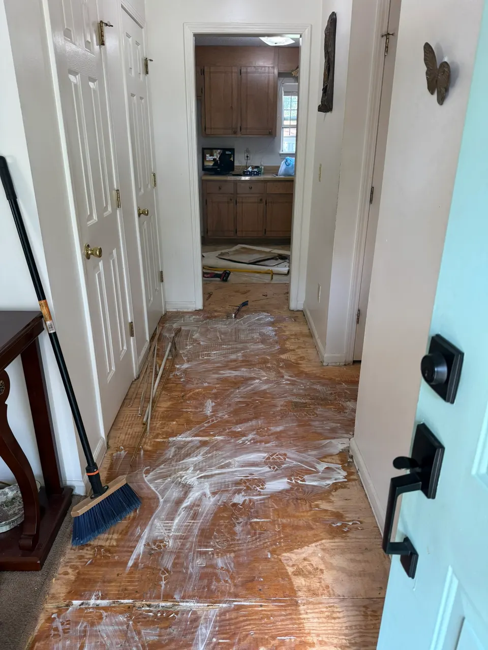 Living room, Kitchen, and hallway floors